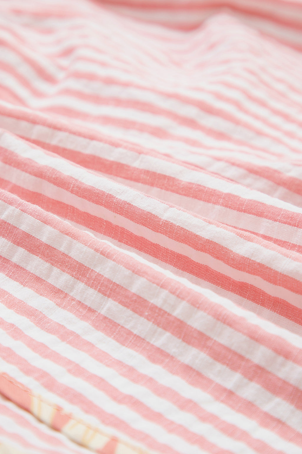 Mollye Striped Shorts