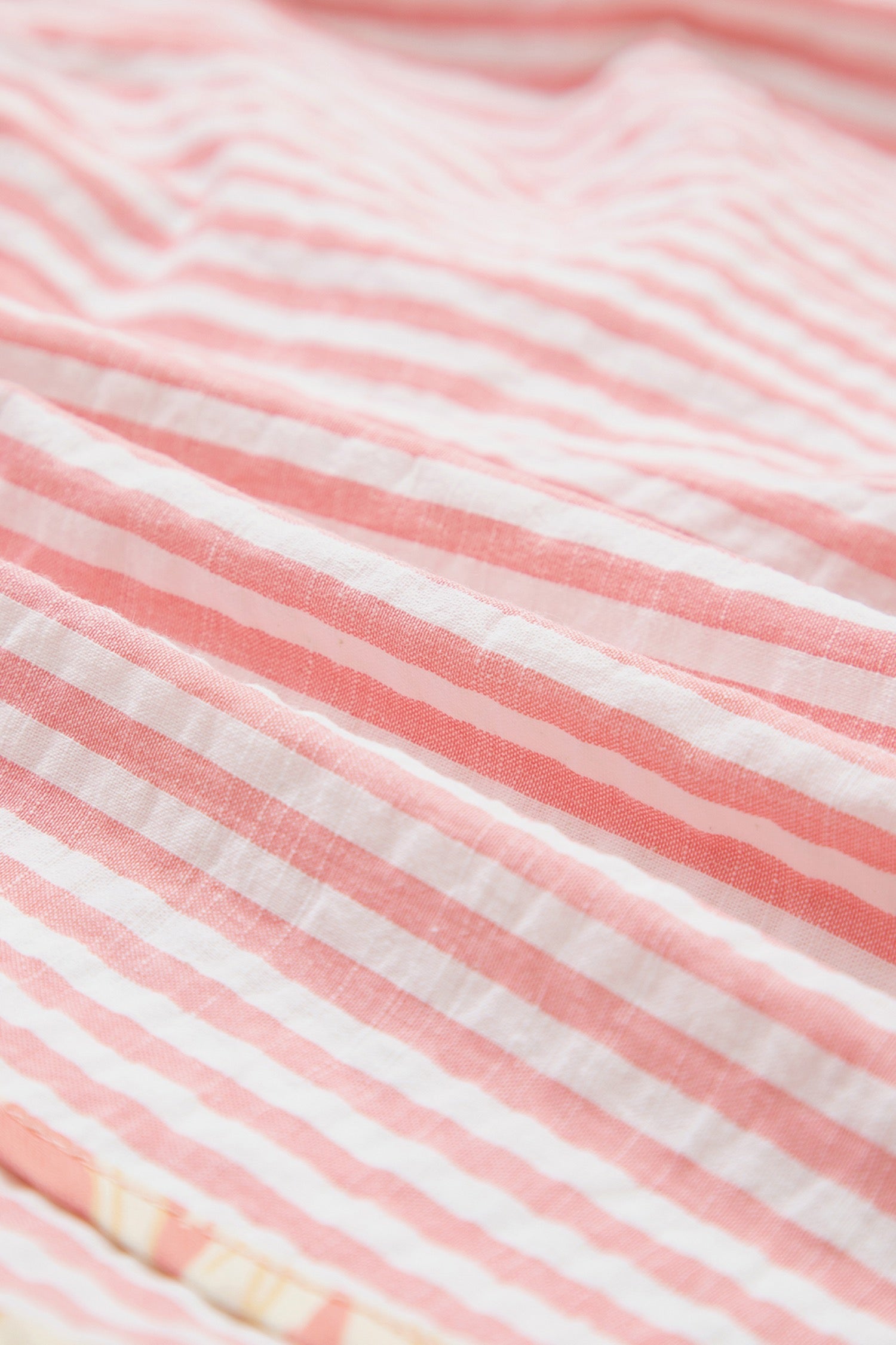 Mollye Striped Shorts